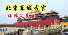抠逼久白浆仙女棒黄尿AV中国北京-东城古宫旅游风景区